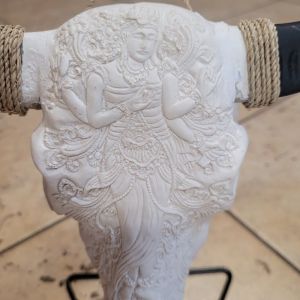 Череп с рога на животно